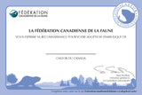 Beaver Adoption Kit|Trousse d’adoption – castor