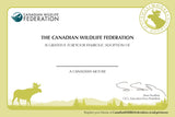 Moose Adoption Kit|Trousse d’adoption – orignal