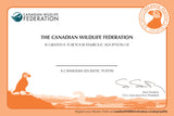 Puffin Adoption Kit|Trousse d’adoption – macareux