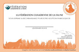 Red Fox Adoption Kit|Trousse d’adoption – renard roux