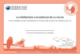 Spotted Owl adoption Kit|Trousse d’adoption – chouette tachetée