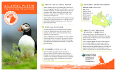 Puffin Adoption Kit|Trousse d’adoption – macareux