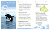 Killer Whale Adoption Kit|Trousse d’adoption – épaulard