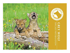 Grey Wolf Adoption Kit|Trousse d’adoption – loup gris