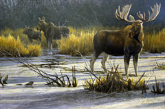 Robert Bateman Print "The Moose Family"|Tirage de « La famille orignal » de Robert Bateman