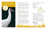 Whooping Crane Adoption Kit|Trousse d’adoption – grue blanche