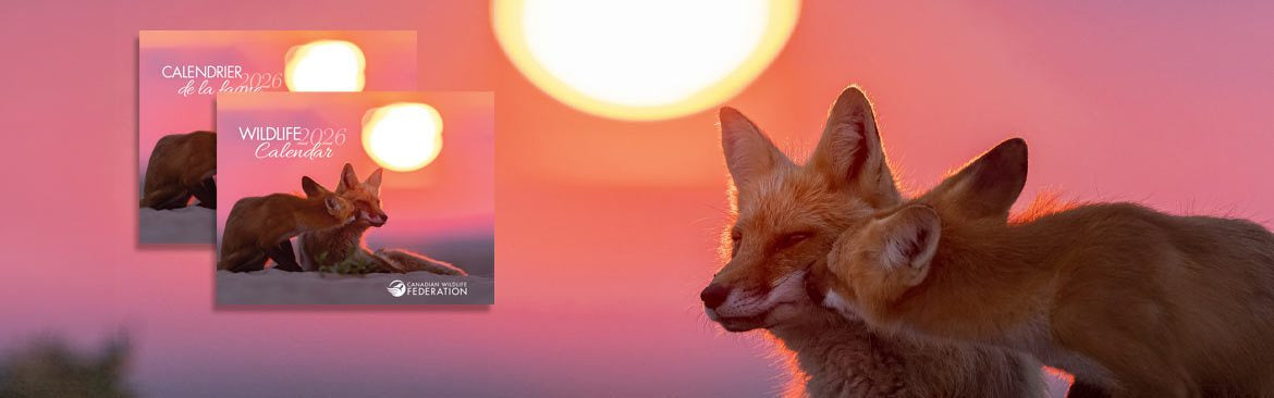 2026 CWF Wildlife Calendar | Le calendrier de la FCF